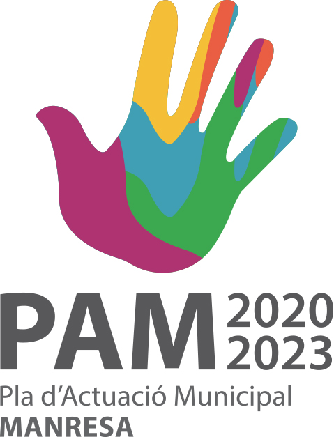 DEBATS PARTICIPATIUS DEL PAM 2020-2023.  Febrer  2020