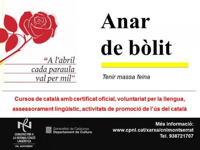 Imatge de la notícia