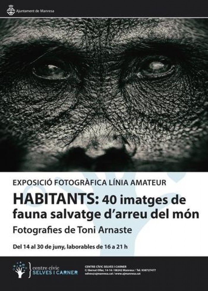 Imatge de la notícia
