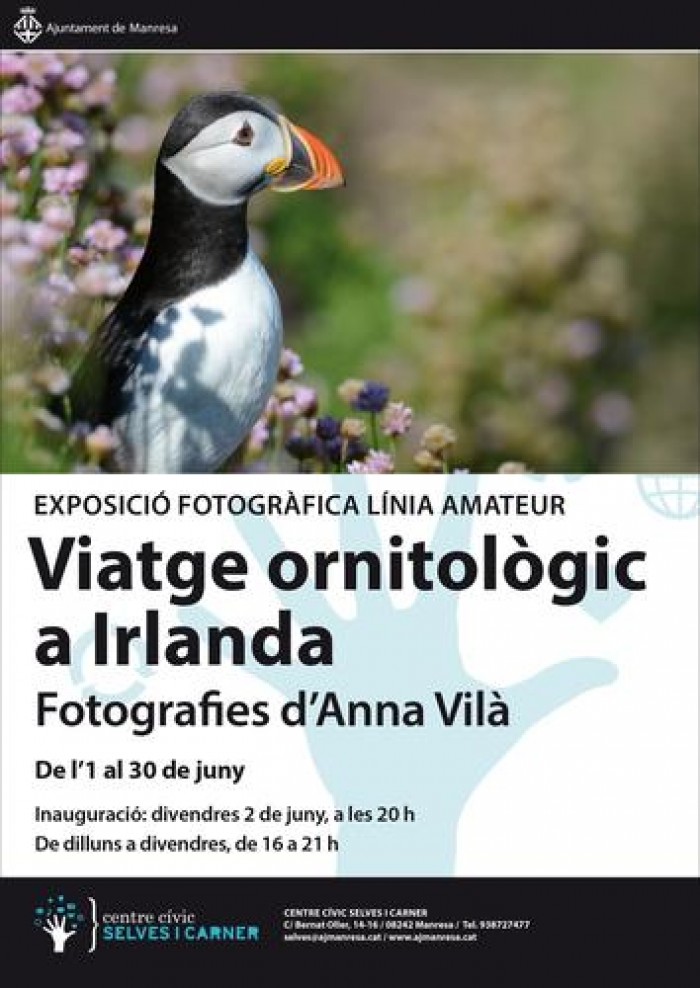 Imatge de la notícia