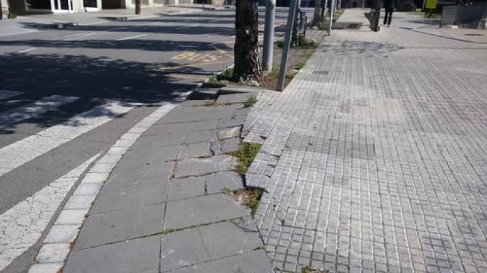 Imatge de la notícia