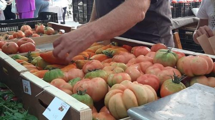 Imatge de la notícia