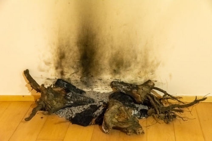 Imatge de la notícia