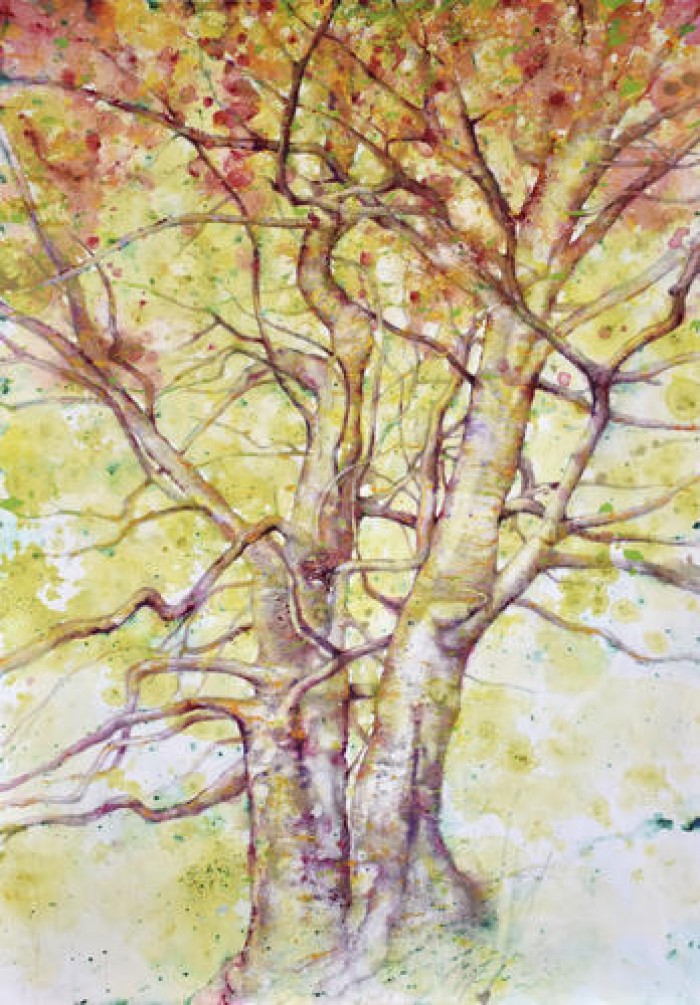 Imatge de la notícia