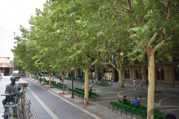 Imatge de la notícia