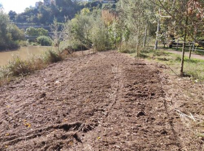 Imatge de la notícia