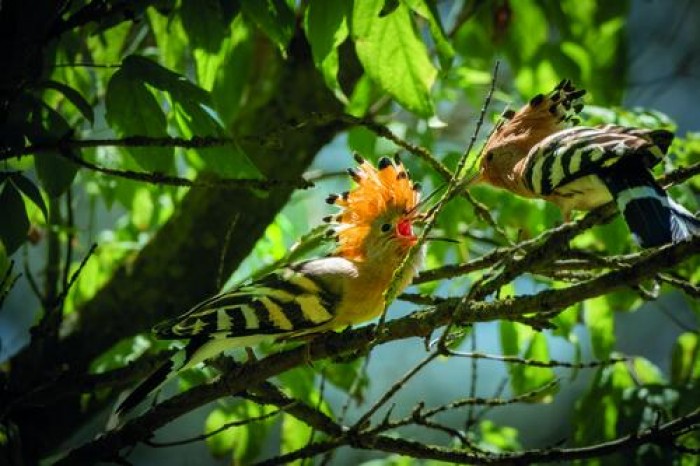 Imatge de la notícia