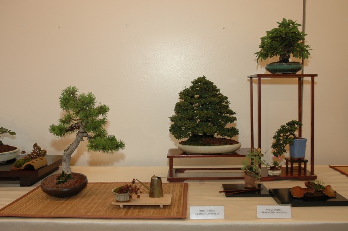 Imatge de la notícia