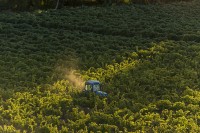 Programats dos tallers per difondre els avantatges de l'economia circular en l'àmbit rural