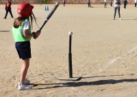 L'Ajuntament reobre avui dilluns el pavelló del Vell Congost, el pavelló del Pujolet i el camp de beisbol