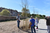 L'Ajuntament de  Manresa millora l'espai verd de Santa Clara, entre els barris de les Escodines i la Balconada, i s'acosta als 2.000 arbres plantats aquest mandat 